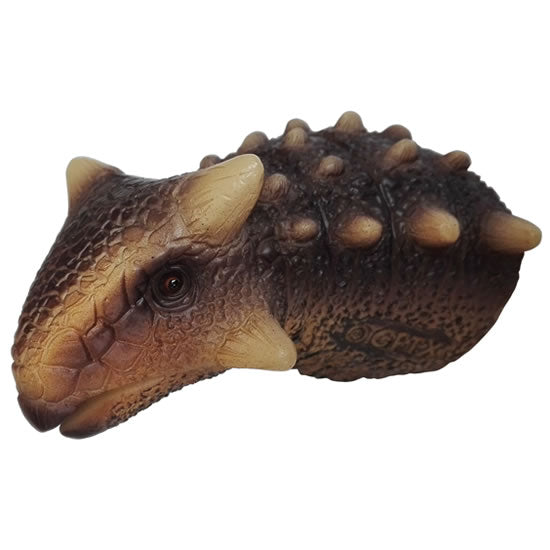 アンキロサウルス リアリスティックマグネット|ネットショップ・マインドダイレクト