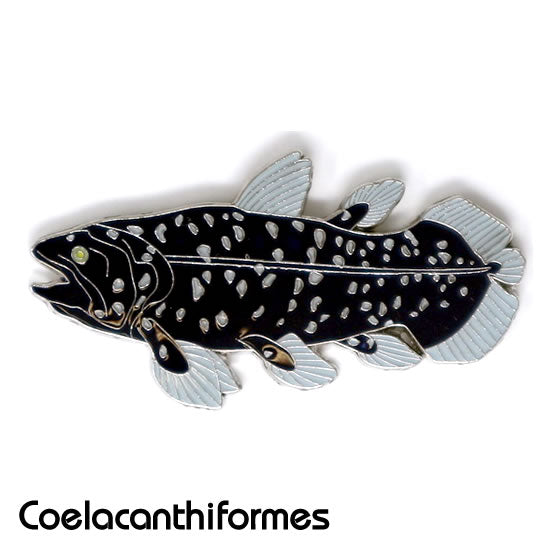 シーラカンス|コレクションピンズS-002|マインドダイレクト【F.C.Planet公式】