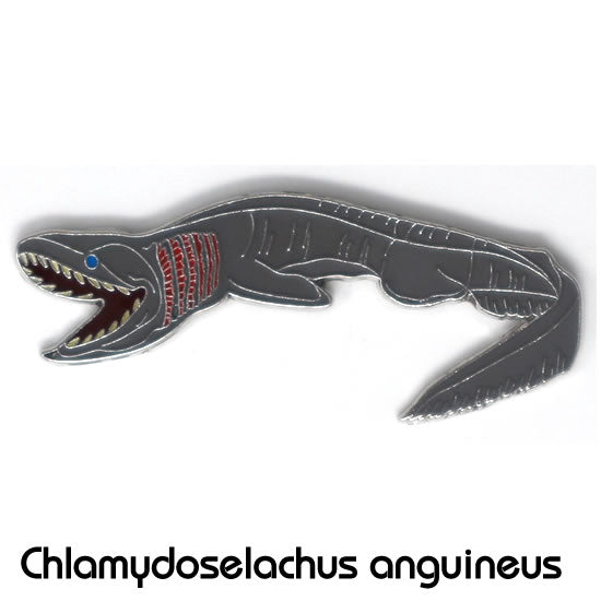 ラブカ|コレクションピンズS-003|マインドダイレクト【F.C.Planet公式】