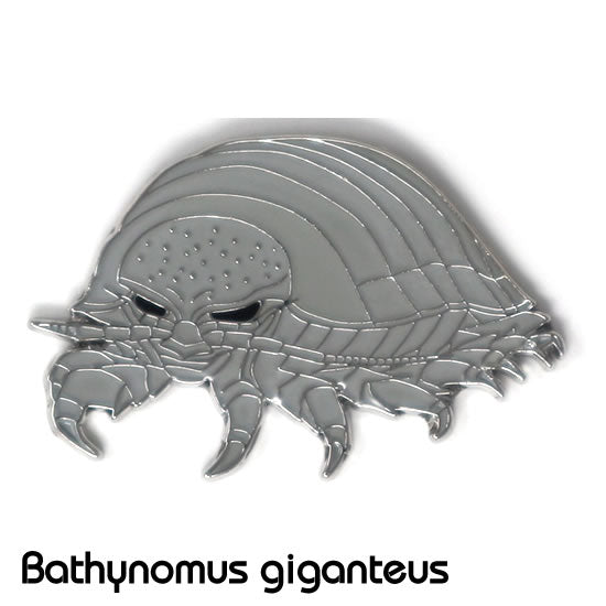 ダイオウグソクムシ|コレクションピンズS-011|マインドダイレクト【F.C.Planet公式】