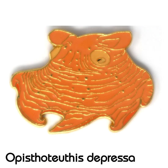 メンダコ|コレクションピンズS-010|マインドダイレクト【F.C.Planet公式】