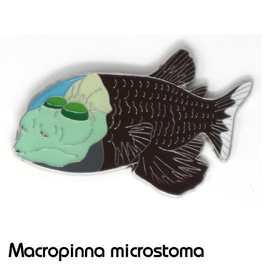 デメニギス|コレクションピンズS-014|マインドダイレクト【F.C.Planet公式】