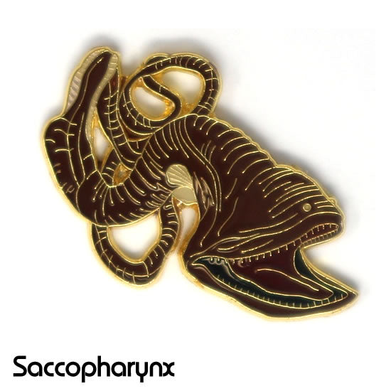 フウセンウナギ|コレクションピンズS-008|マインドダイレクト【F.C.Planet公式】