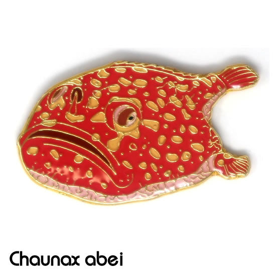 ミドリフサアンコウ|コレクションピンズS-013|マインドダイレクト【F.C.Planet公式】