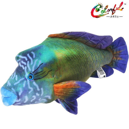 ナポレオンフィッシュ ぬいぐるみ/Colorful|ネットショップ・マインドダイレクト