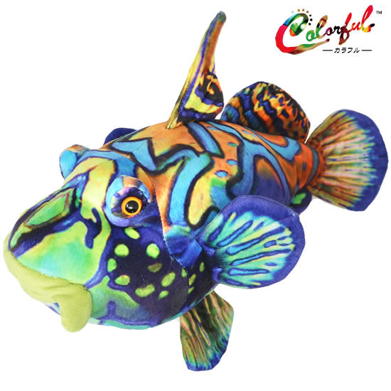 ニシキテグリ ぬいぐるみ/Colorful|ネットショップ・マインドダイレクト