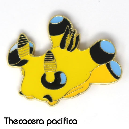 ウデフリツノザヤウミウシ_ピンズ_ピンバッジ