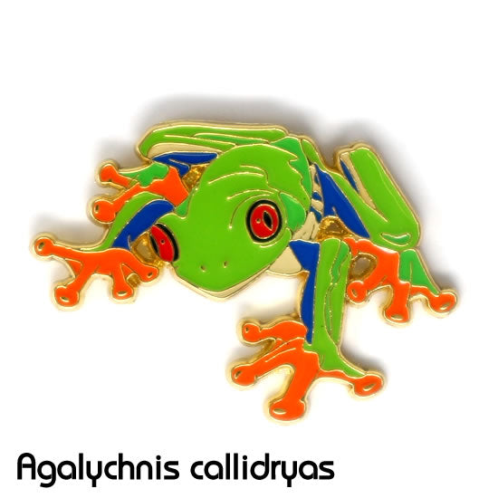 アカメアマガエル_ピンズ_ピンバッジ