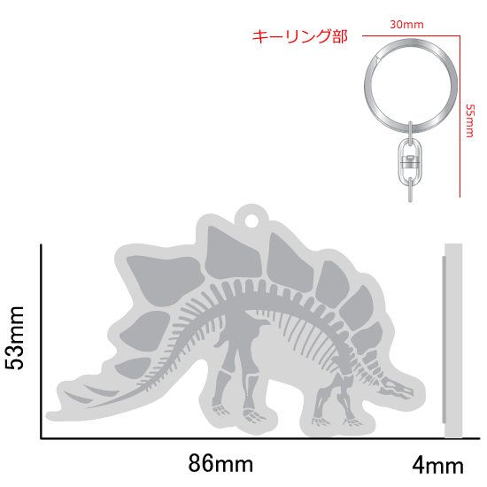 FLASHキーホルダー スステゴサウルス|ネットショップ・マインドダイレクト