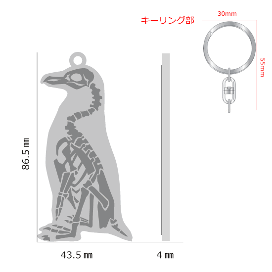 FLASHキーホルダー ケープペンギン|ネットショップ・マインドダイレクト