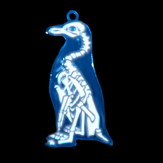 FLASHキーホルダー ケープペンギン|ネットショップ・マインドダイレクト