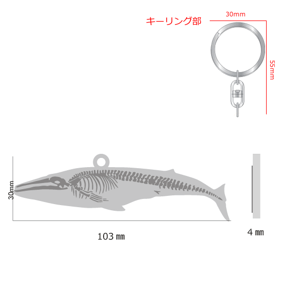 FLASHキーホルダー シロナガスクジラ|ネットショップ・マインドダイレクト