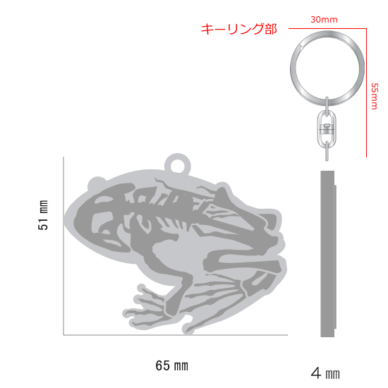 FLASHキーホルダー ウシガエル|ネットショップ・マインドダイレクト