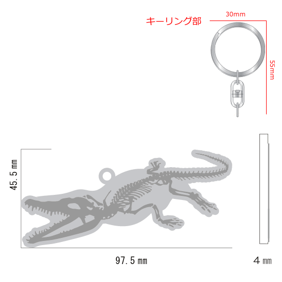 FLASHキーホルダー ワニ|ネットショップ・マインドダイレクト