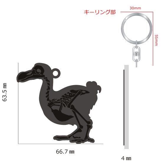 FLASHキーホルダー ドードー|ネットショップ・マインドダイレクト