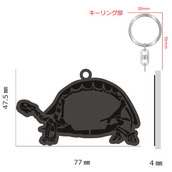 FLASHキーホルダー リクガメ|ネットショップ・マインドダイレクト
