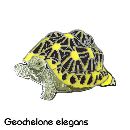 インドホシガメ_ピンズ_ピンバッジ