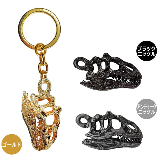 アロサウルス キーリング｜リアルな頭骨｜ネットショップ・マインド