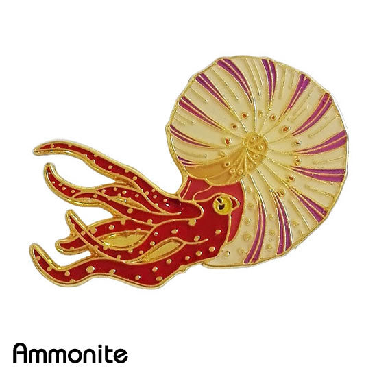 アンモナイト｜コレクションピンズD-023｜マインドダイレクト【F.C.