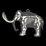 FLASHキーホルダー　マンモス｜ネットショップ・マインドダイレクト