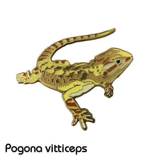 爬虫類・両生類 – マインドダイレクト