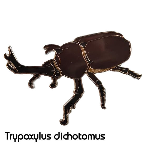 カブトムシ ピンバッジ アニメ風 カブトムシ ピンバッジ アニメ風 カブトムシ ピンバッジ アニメ